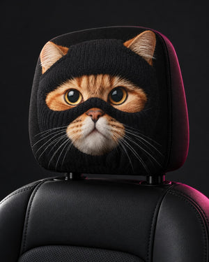 Ninja Kitty