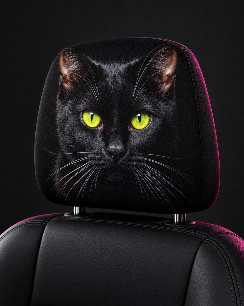 Black Cat Stare