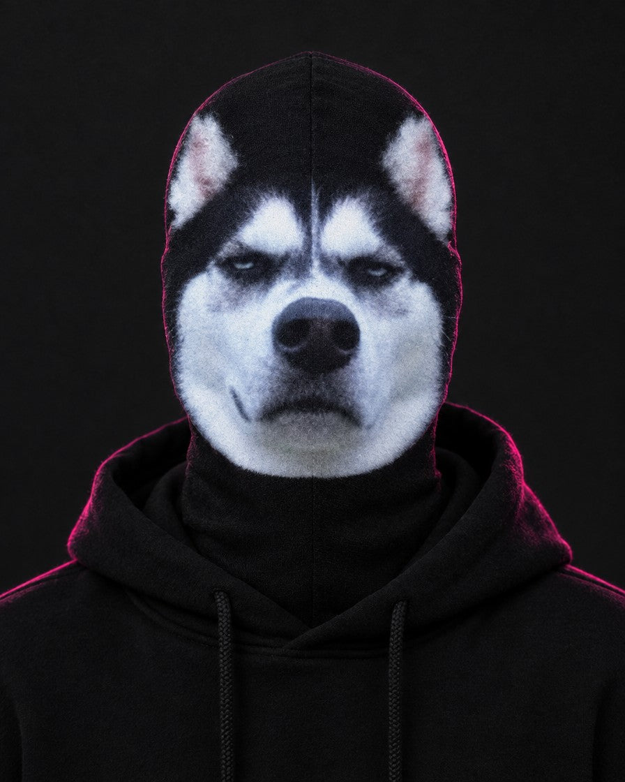 Husky Stare