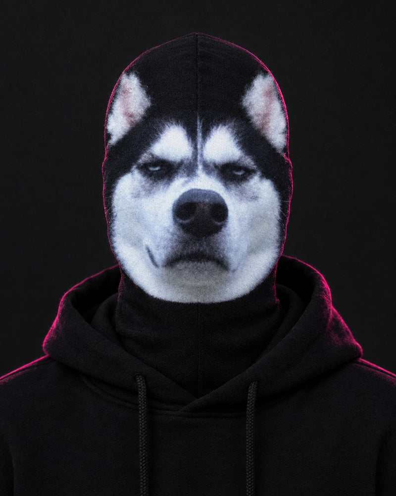 Husky Stare