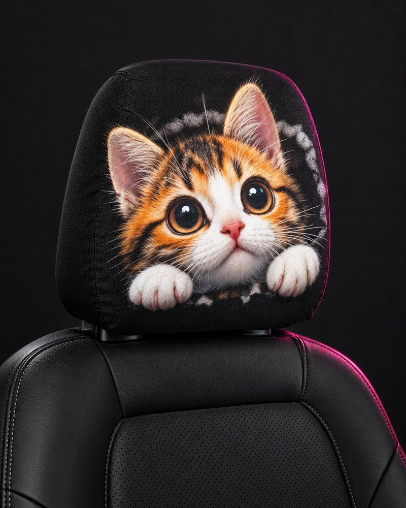 Kitten Peek
