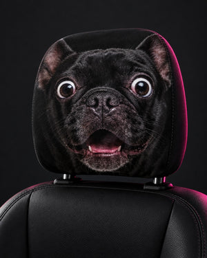 Shook Pug