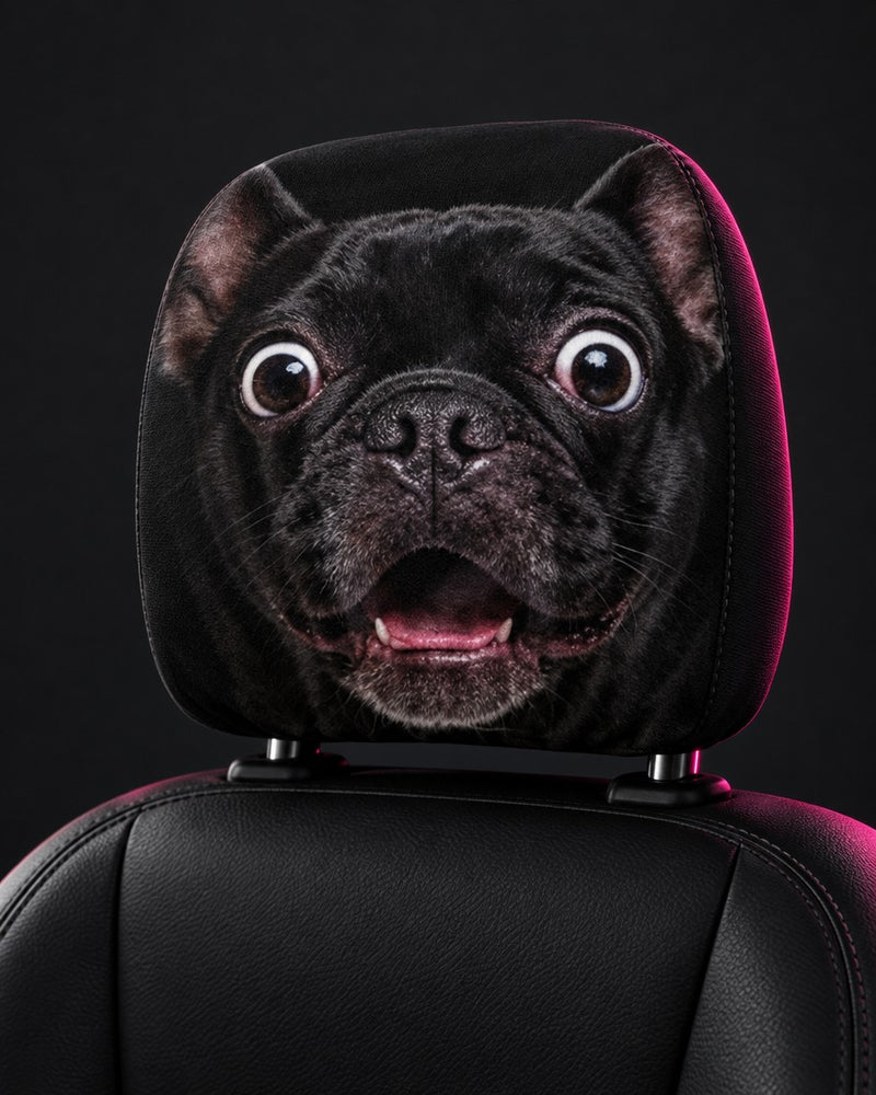Shook Pug
