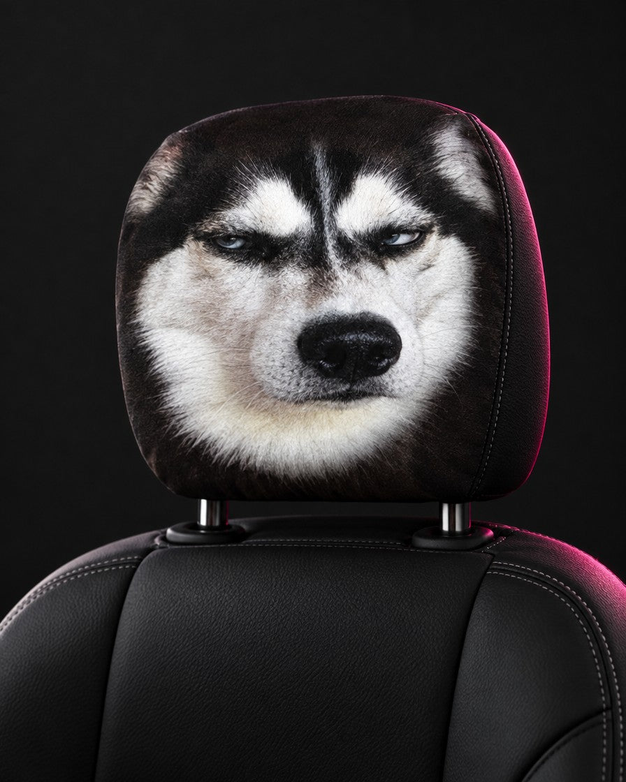 Side-Eye Husky
