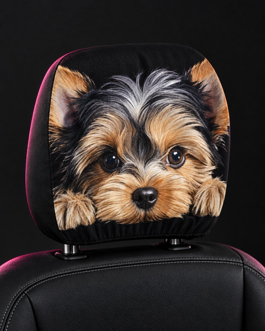 Yorkie Peek