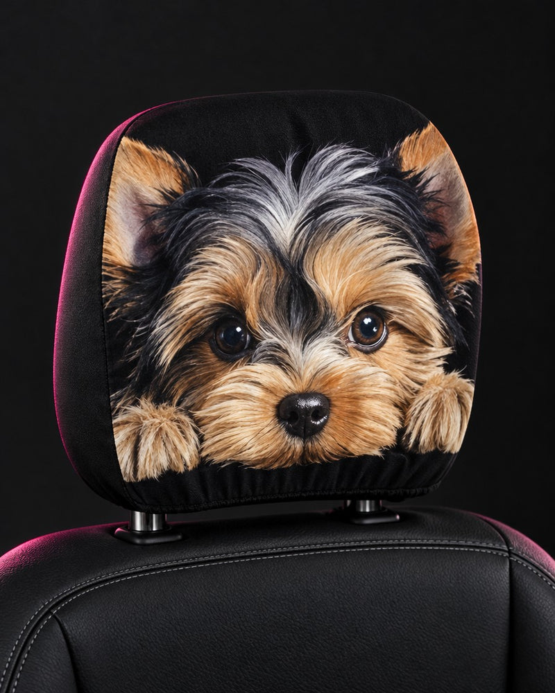 Yorkie Peek